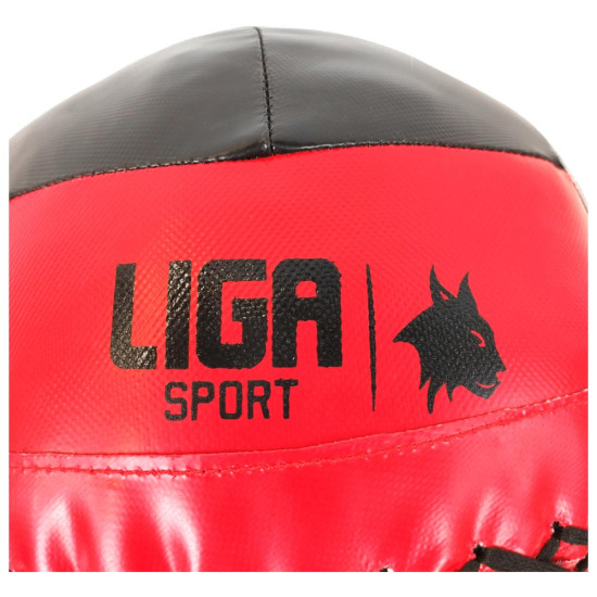 Liga Wall Ball 6 KG Liga Wall Ball 6 KG